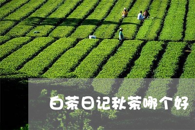 白茶日记秋茶哪个好/2023072389492