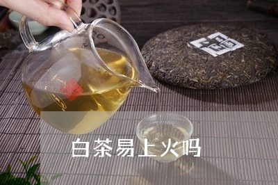 白茶易上火吗/2023052036373