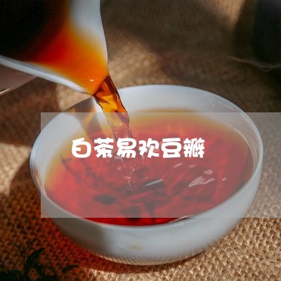 白茶易欢豆瓣/2023052001404