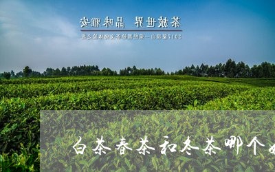 白茶春茶和冬茶哪个好/2023100680381