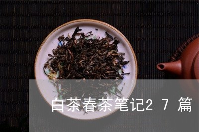 白茶春茶笔记27篇/2023121581624