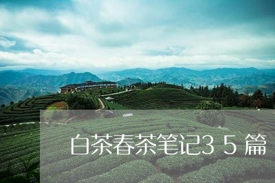 白茶春茶笔记35篇/2023121519581