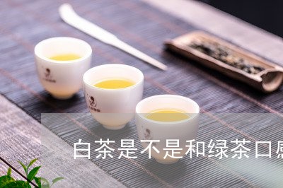 白茶是不是和绿茶口感一样/2023110858582