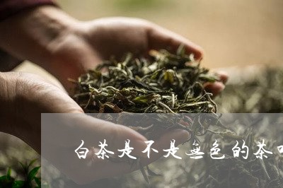 白茶是不是无色的茶叶呀/2023103117160