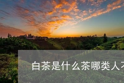 白茶是什么茶哪类人不能喝/2023110699502