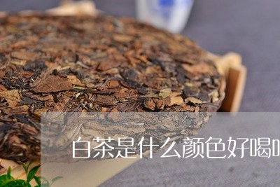 白茶是什么颜色好喝吗/2023100625827