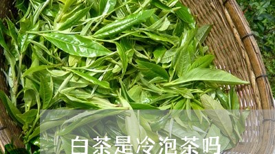 白茶是冷泡茶吗/2023063037151