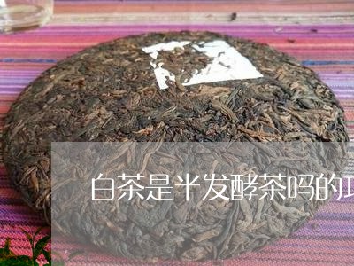 白茶是半发酵茶吗的功效/2023103160825