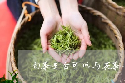 白茶是否可以与花茶一起煮/2023110660614