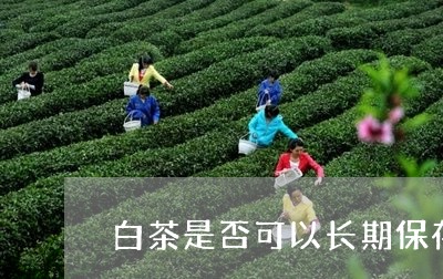 白茶是否可以长期保存/2023100649795