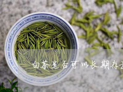 白茶是否可以长期存放茶叶/2023110668581