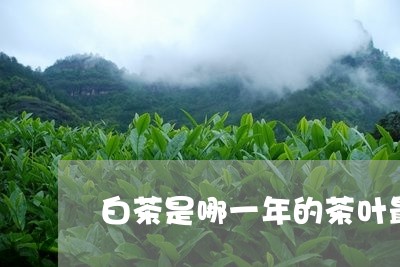 白茶是哪一年的茶叶最好/2023103188470