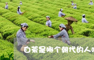 白茶是哪个朝代的人喝的茶/2023110612815