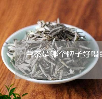 白茶是哪个牌子好喝的茶叶/2023110658393