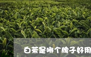 白茶是哪个牌子好用点/2023100630592