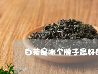 白茶是哪个牌子最好的茶叶/2023110607481