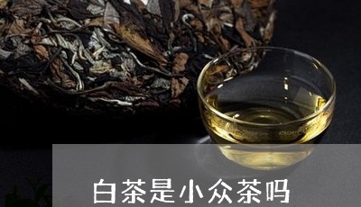 白茶是小众茶吗/2023060516372