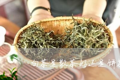 白茶是散茶好还是饼茶好呢/2023110717353