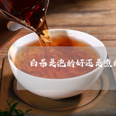 白茶是泡的好还是煮的好/2023103112716