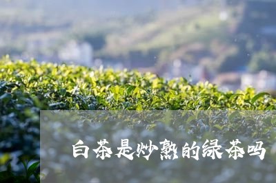 白茶是炒熟的绿茶吗/2023072450493