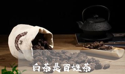 白茶是百姓茶/2023052006269