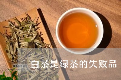 白茶是绿茶的失败品/2023072470582