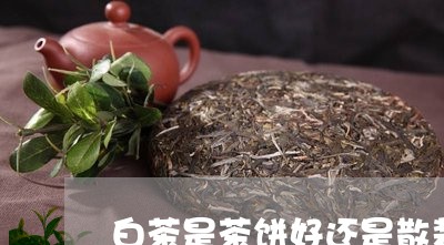 白茶是茶饼好还是散装的好/2023110627384