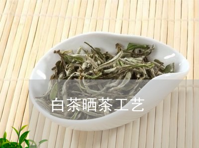 白茶晒茶工艺/2023052029716