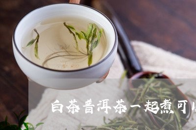 白茶普洱茶一起煮可以喝吗/2023112508259