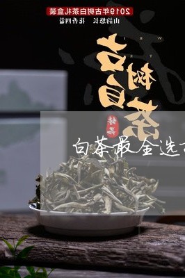 白茶最全选择是什么茶/2023100621672