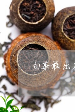 白茶最出名的茶种是什么茶/2023110670692