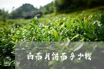 白茶月饼茶多少钱/2023080215949