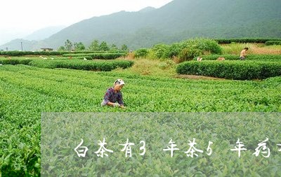 白茶有3年茶5年药有/2023092716269