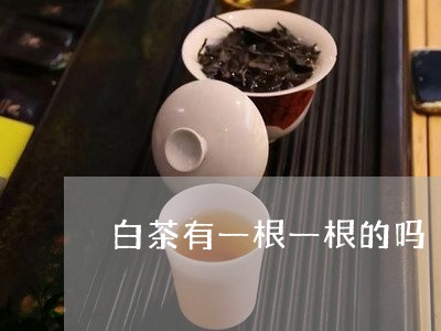 白茶有一根一根的吗/2023072433957