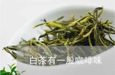 白茶有一股咖啡味/2023080285848