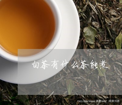 白茶有什么茶能煮/2023080222616