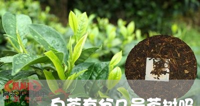 白茶有分几号茶树吗/2023072440592