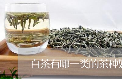 白茶有哪一类的茶种好/2023100625937