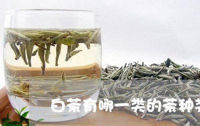 白茶有哪一类的茶种类好/2023082556160