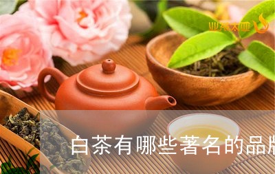 白茶有哪些著名的品牌茶叶/2023110863826