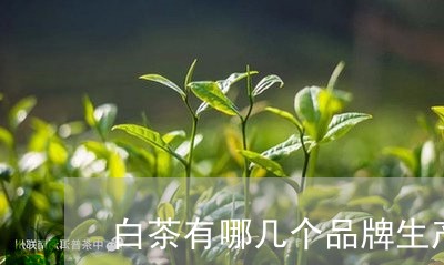 白茶有哪几个品牌生产/2023100639312