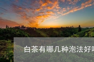 白茶有哪几种泡法好喝又香/2023110884947