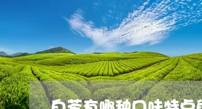 白茶有哪种口味特点的/2023100666039