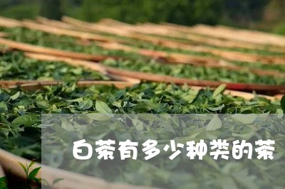 白茶有多少种类的茶/2023072448269