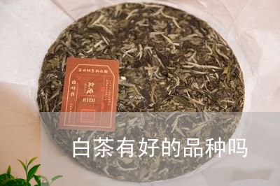 白茶有好的品种吗/2023080205147