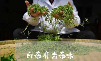 白茶有岩茶味/2023052075157