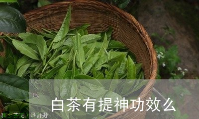 白茶有提神功效么/2023080210683