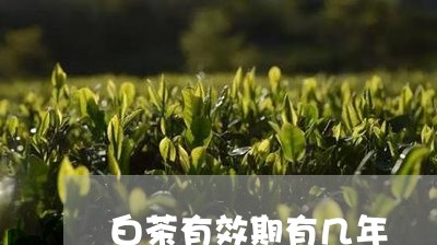 白茶有效期有几年/2023080227058