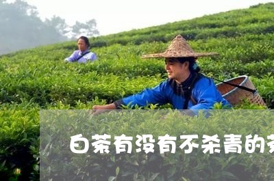 白茶有没有不杀青的茶/2023100686370