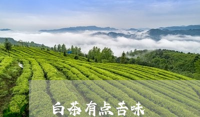 白茶有点苦味/2023052073058